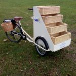 Tier basket tricycle